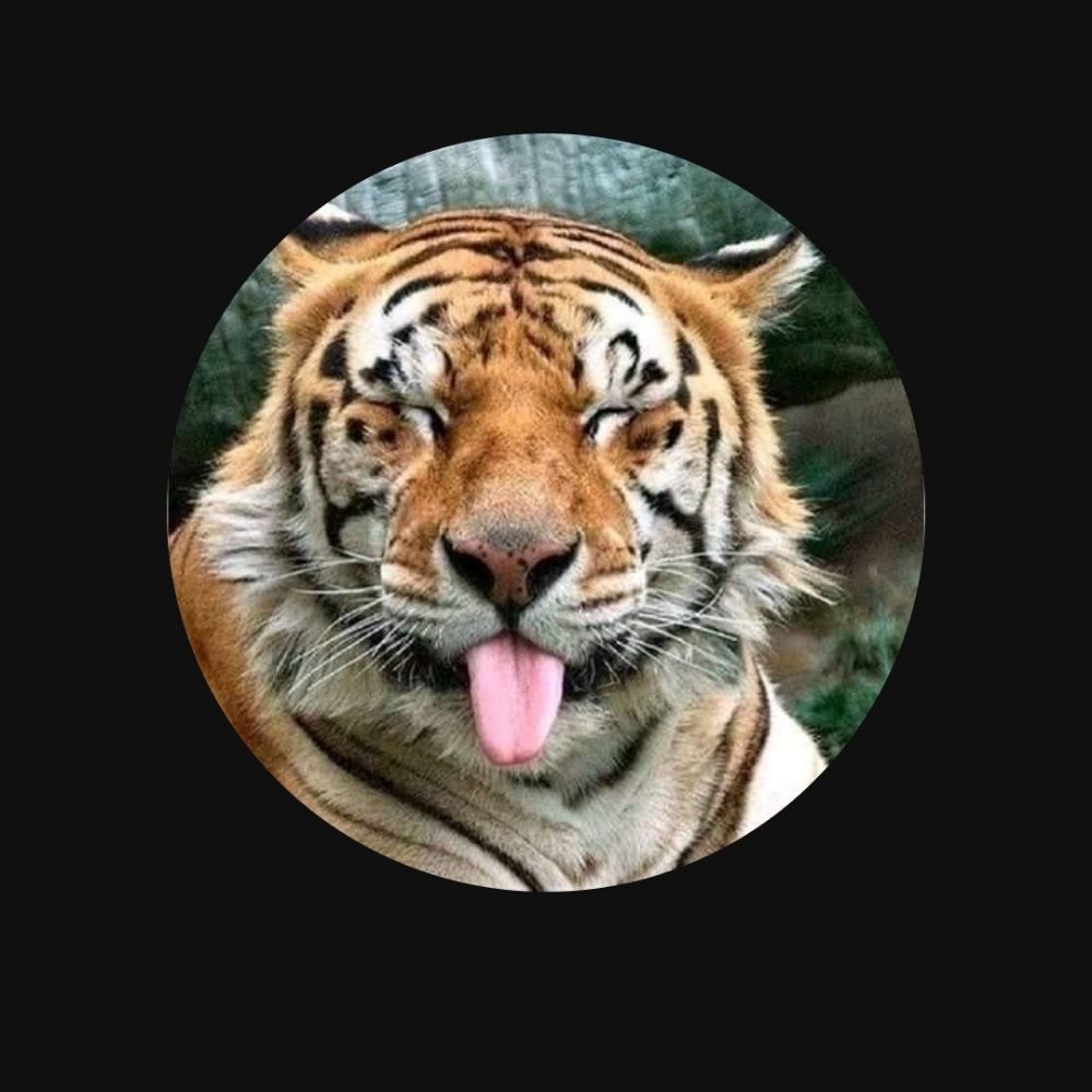 BluefyreTyger