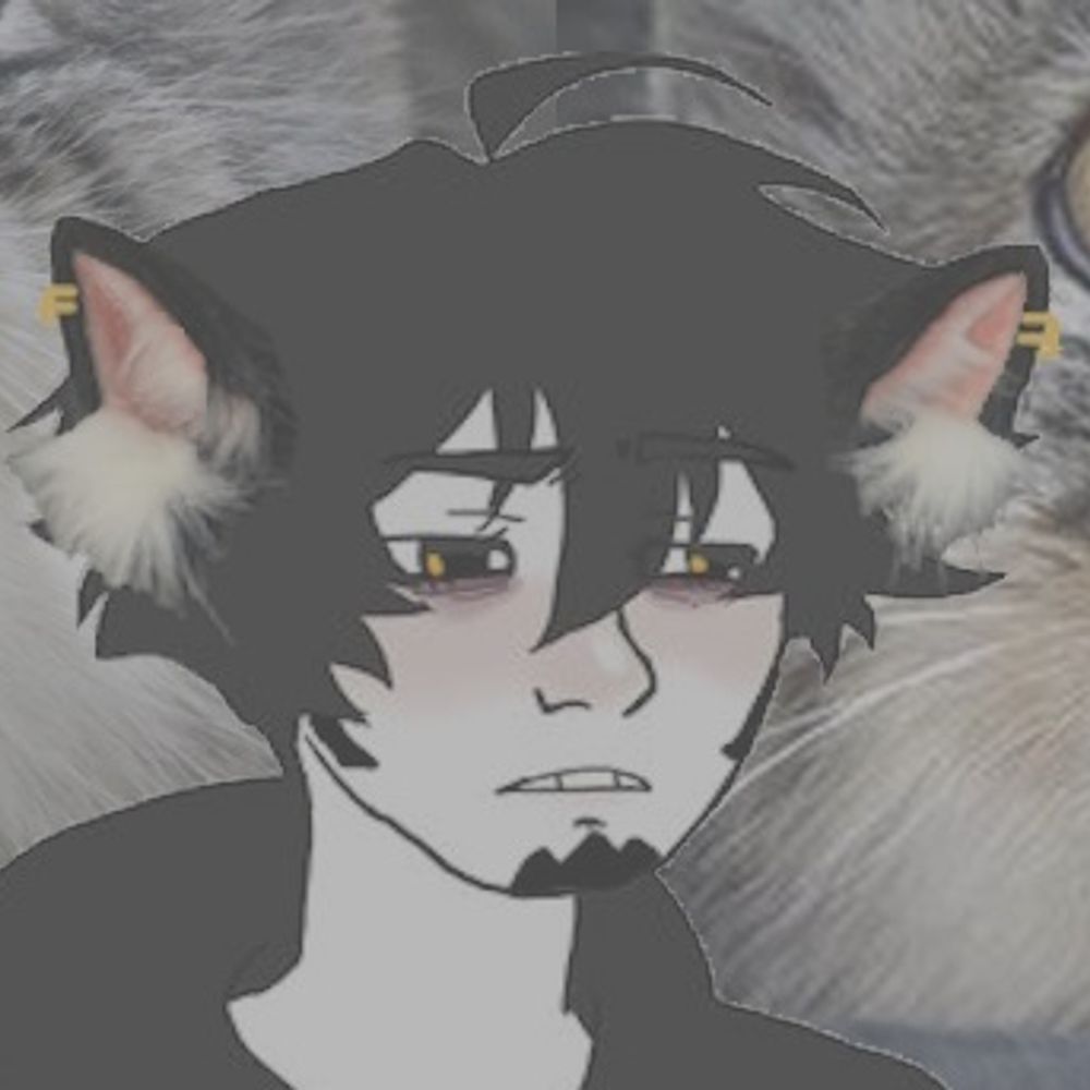 Cat Law Exchange 2024