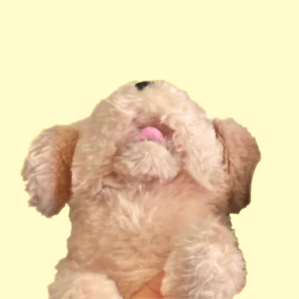 まろ