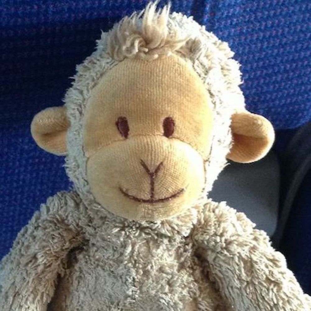lobotomized.monkey