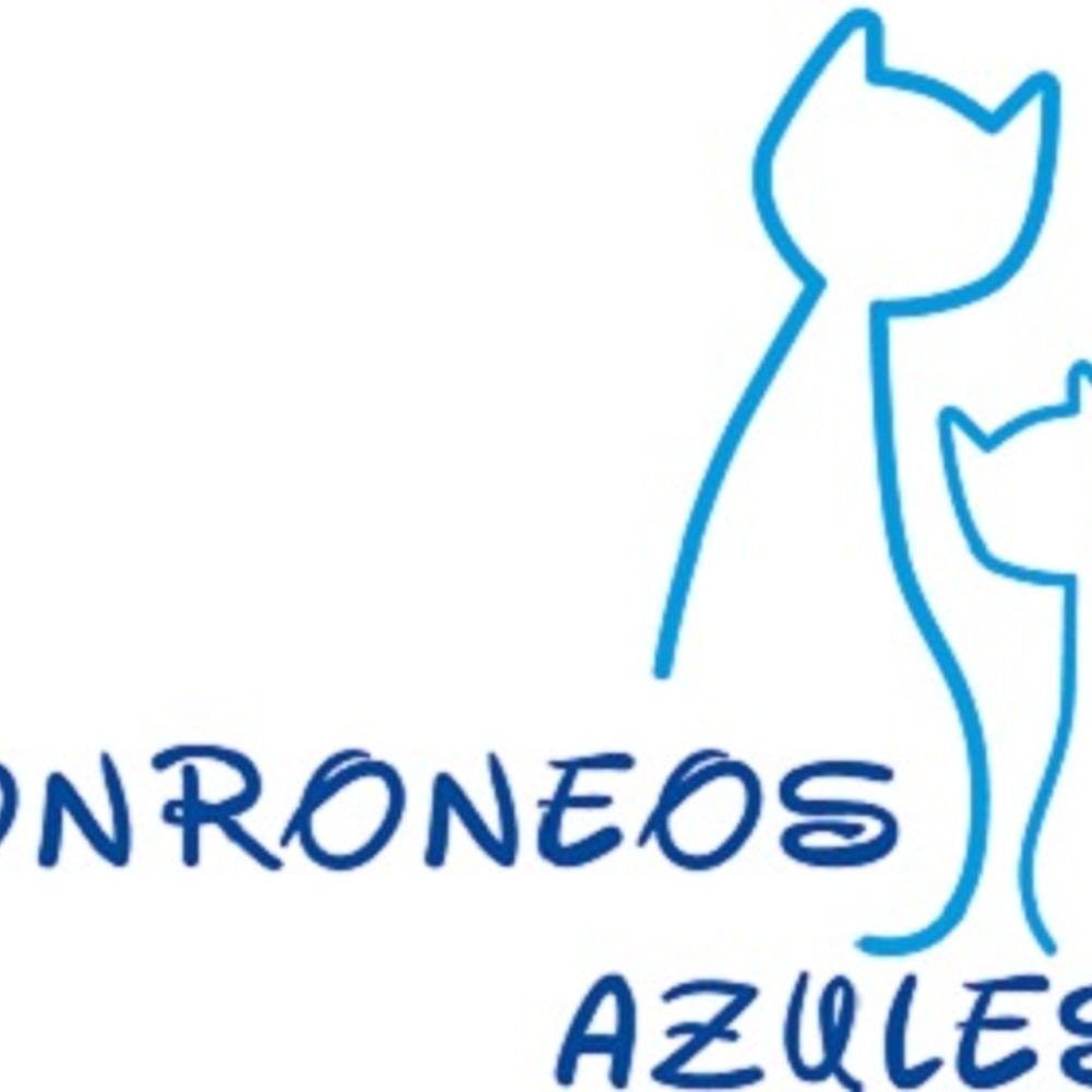 Ronroneos Azules