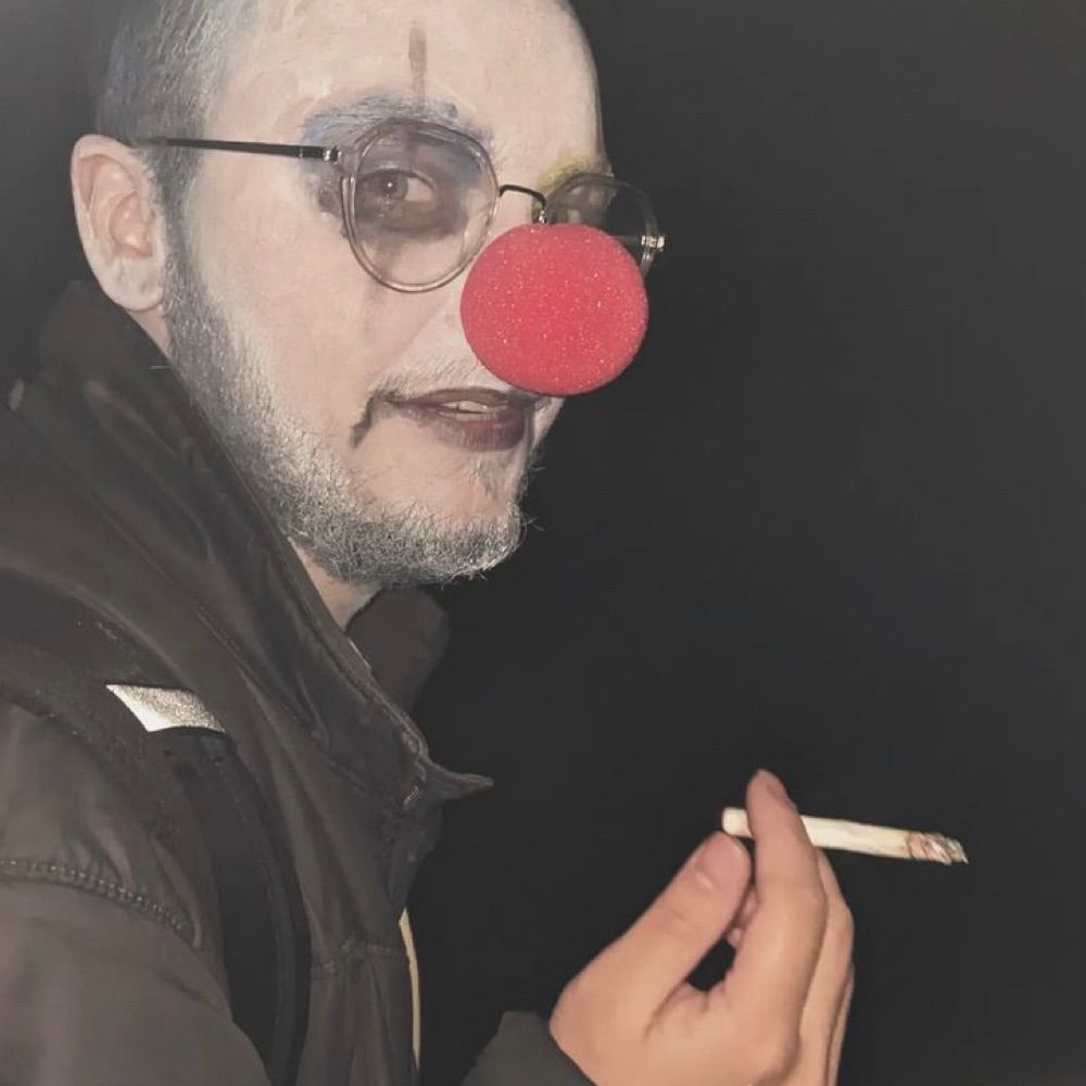 Stupid McDummy