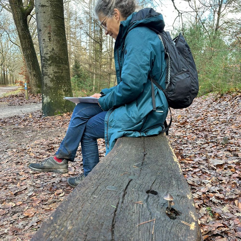 Aafje Terwey
