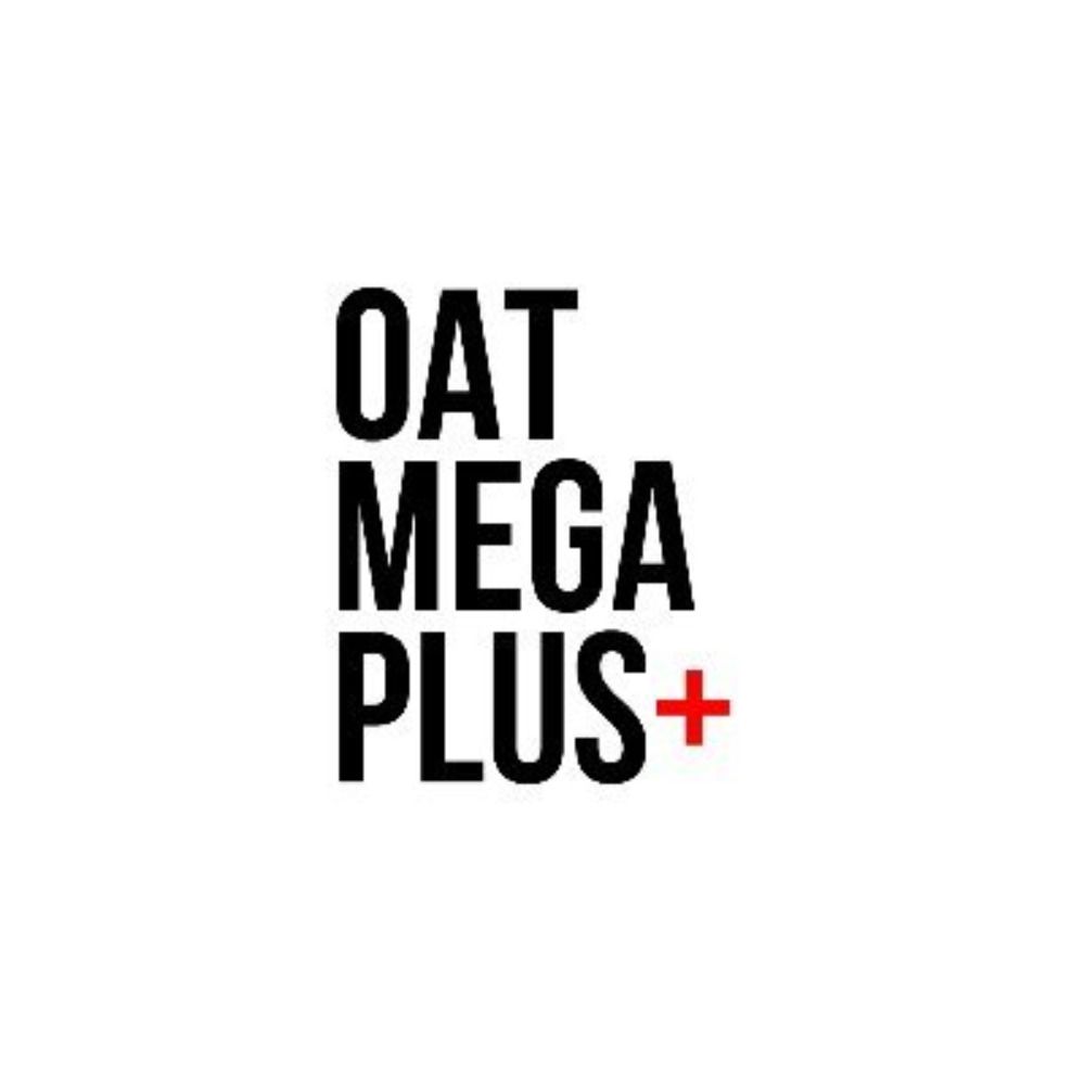 CEO of Robots | OtsuMegaPlus