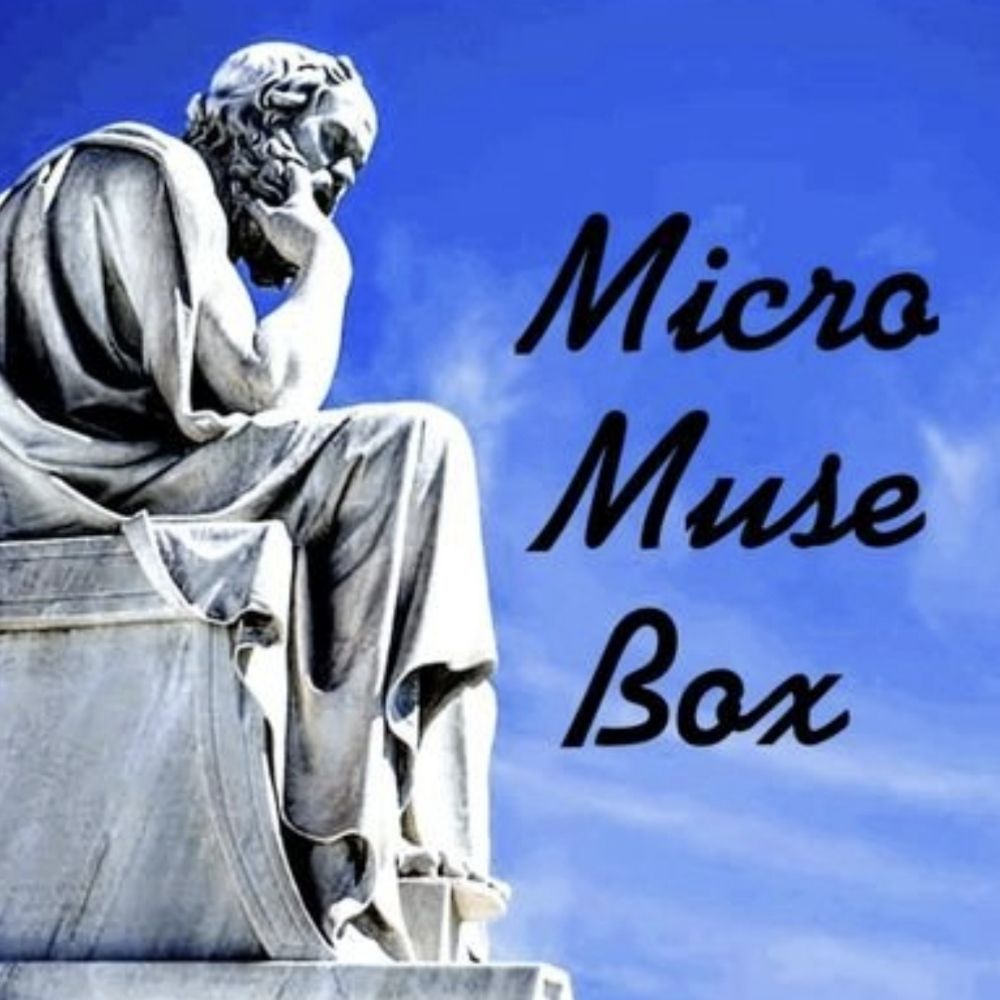 Micro Muse Box