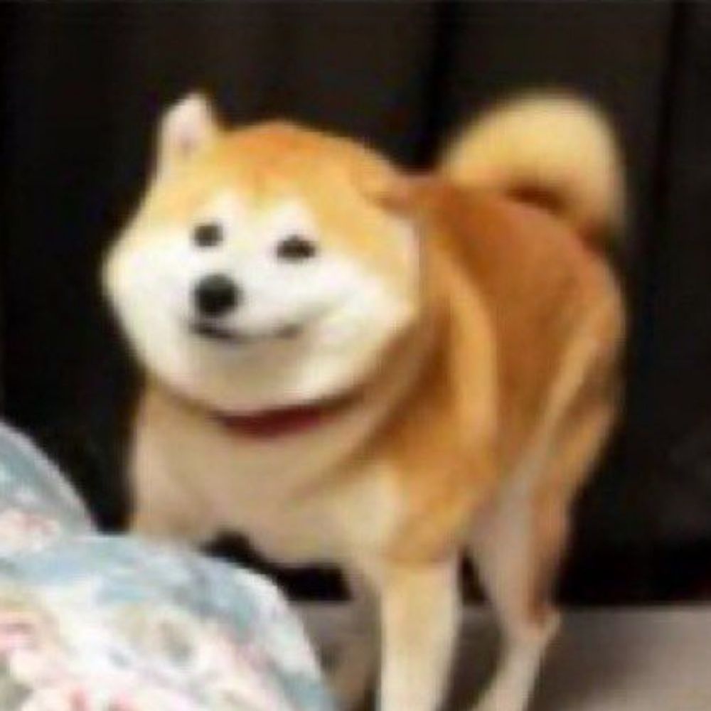 시천