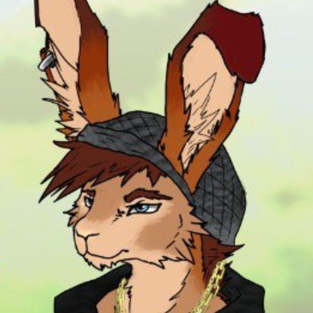 warrener 🔜 MFF