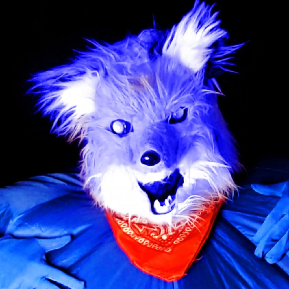 fattythefox.bsky.social profile picture