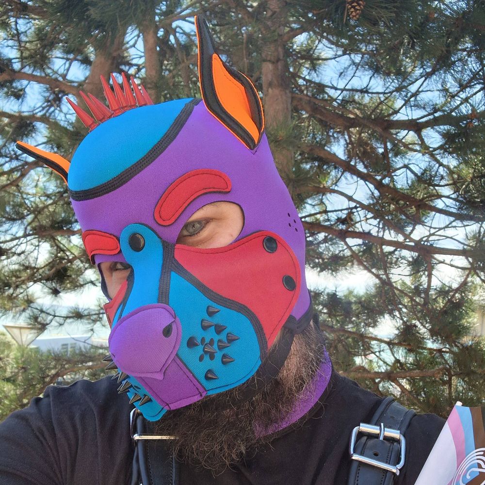 Pup Nate