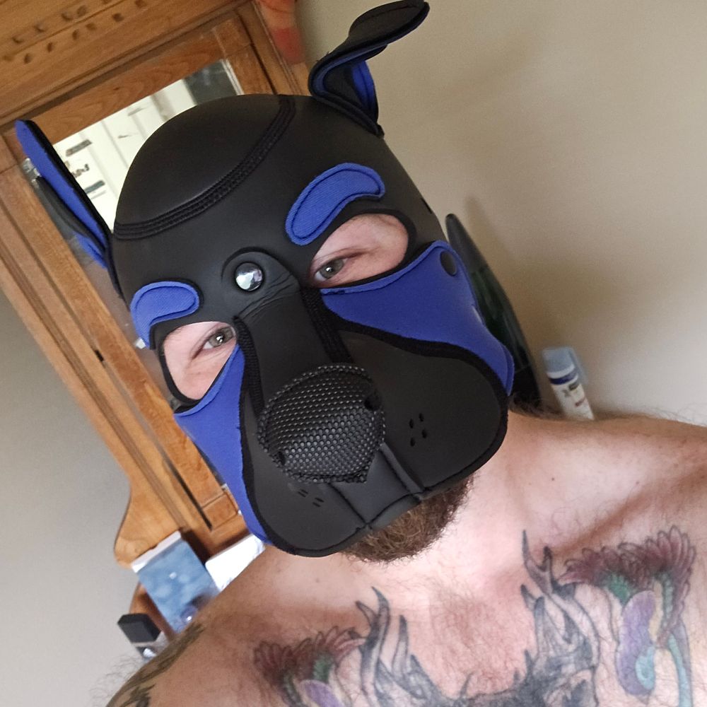 Pup Kylian
