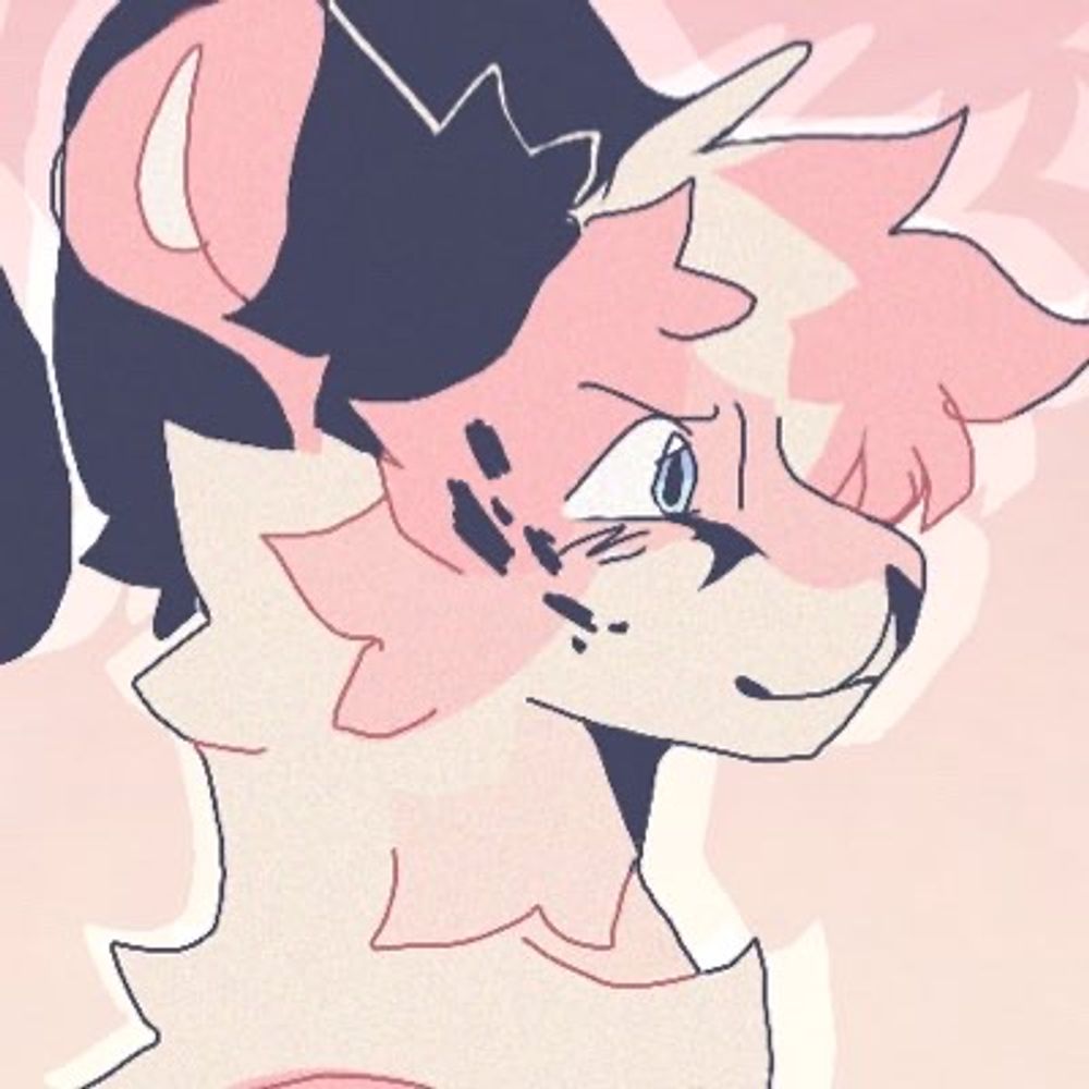 𝓒𝒐𝒓𝒗𝒊𝒅 ♡︎