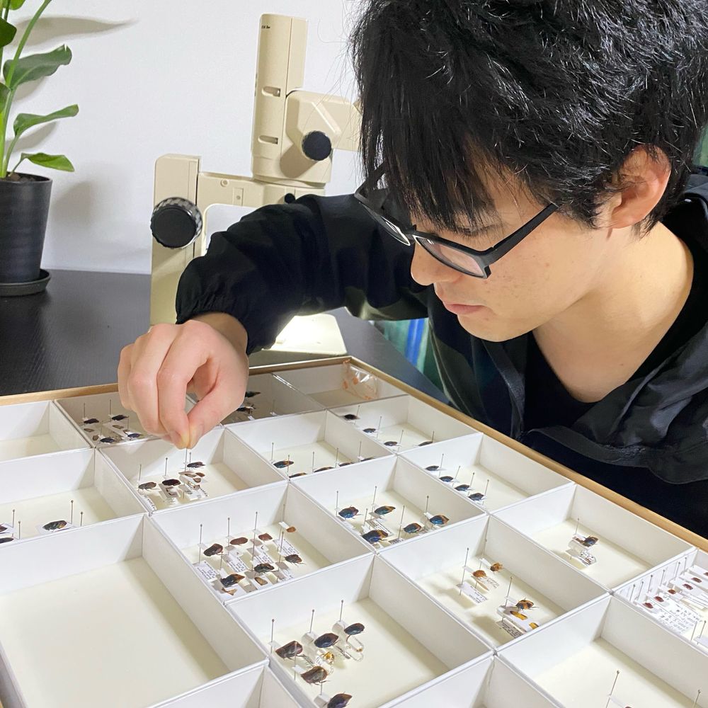 柳澤静磨 Shizuma YANAGISAWA