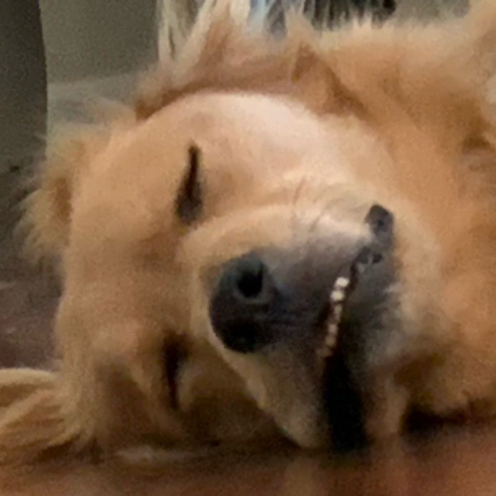 Booker