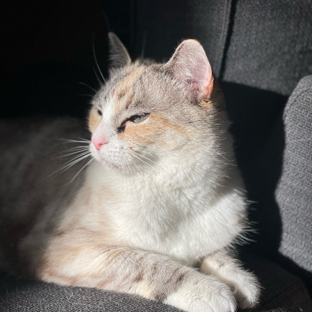Sara 💜