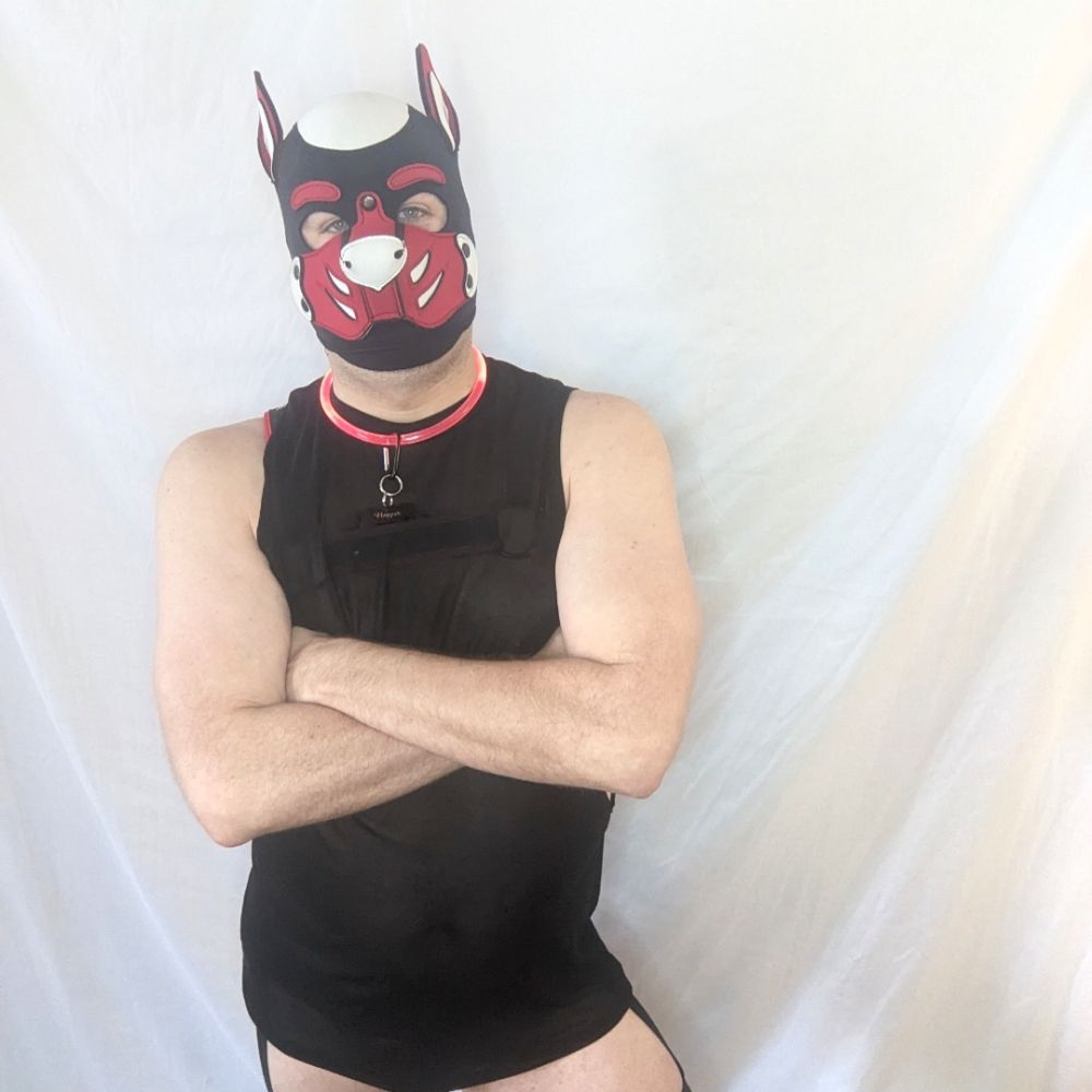 Pup Hopper