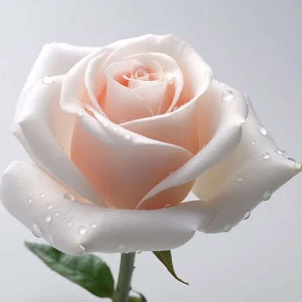 gmf1369.bsky.social profile picture
