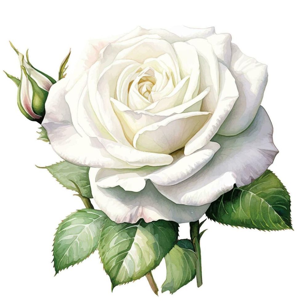 gmf1369.bsky.social profile picture