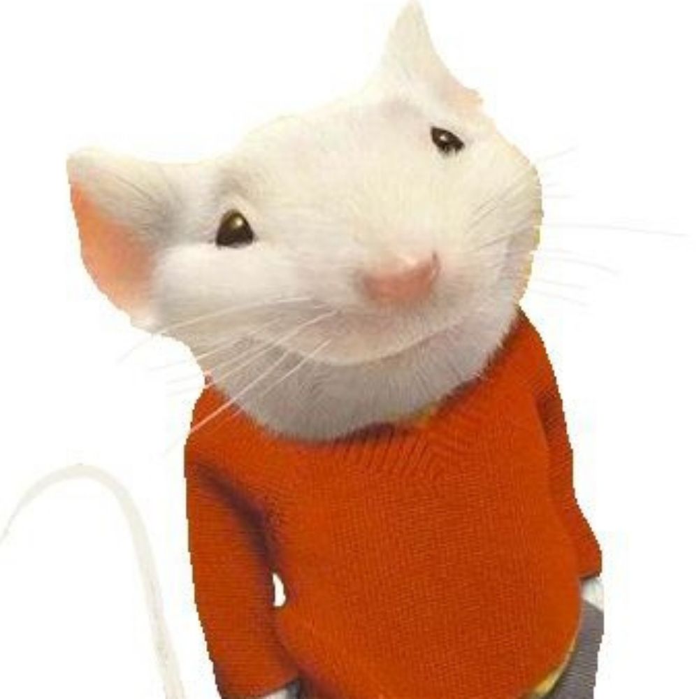 Ratinho🧀