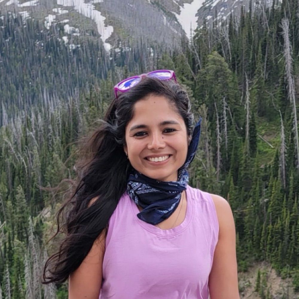 Sadiya Parveen Nesson