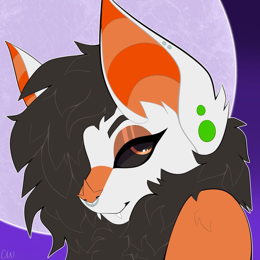halloween decoration enthusiast