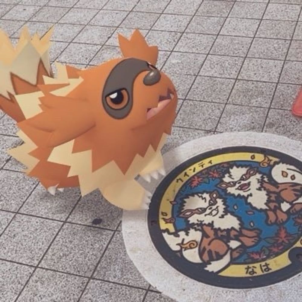 ならづけ