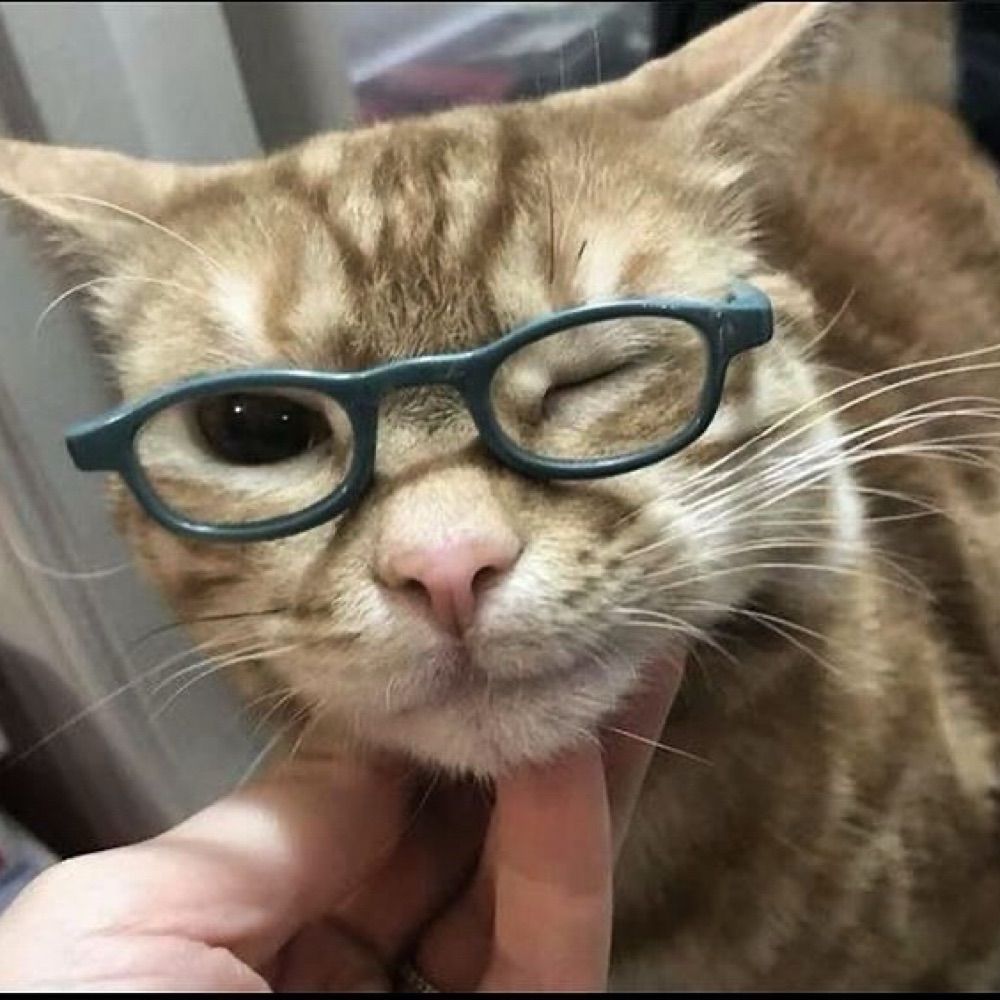 ふーまん