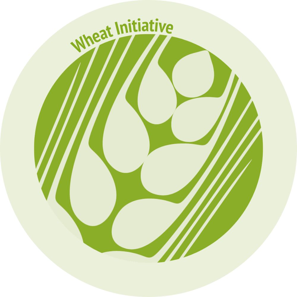Wheat Initiative