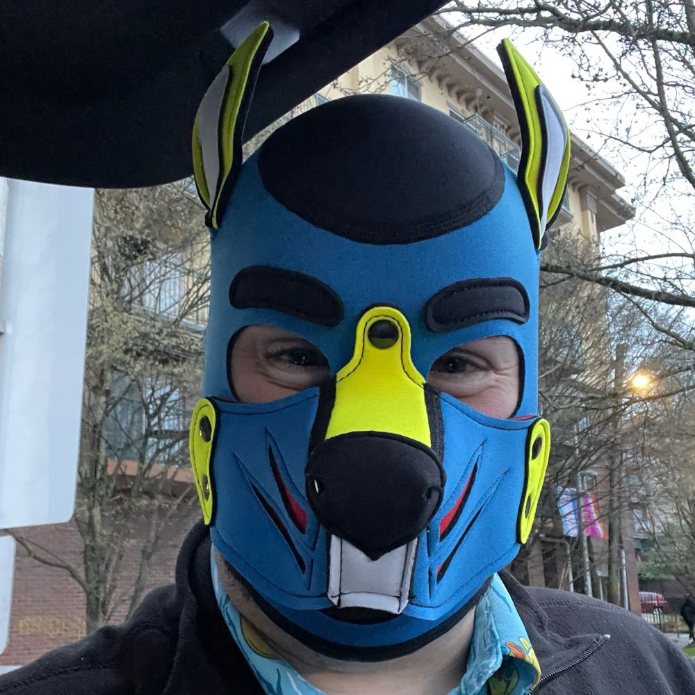 Pup Sonic