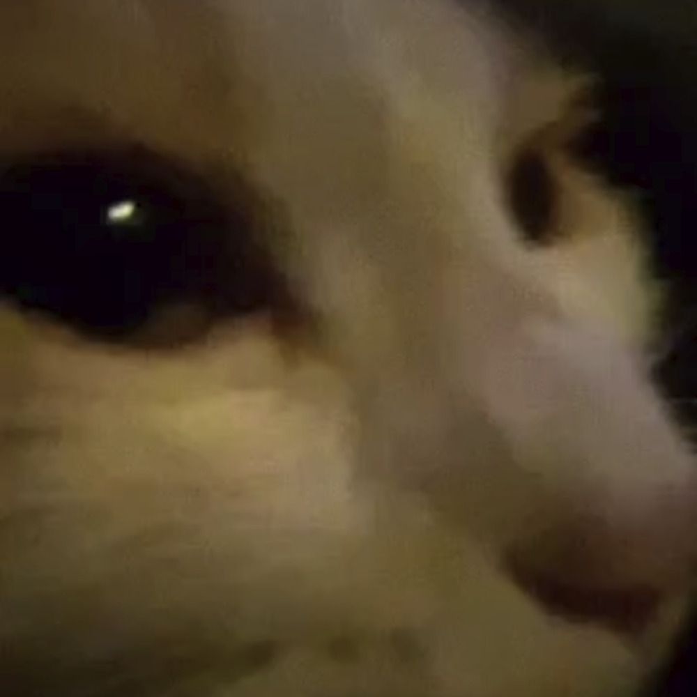 Kato