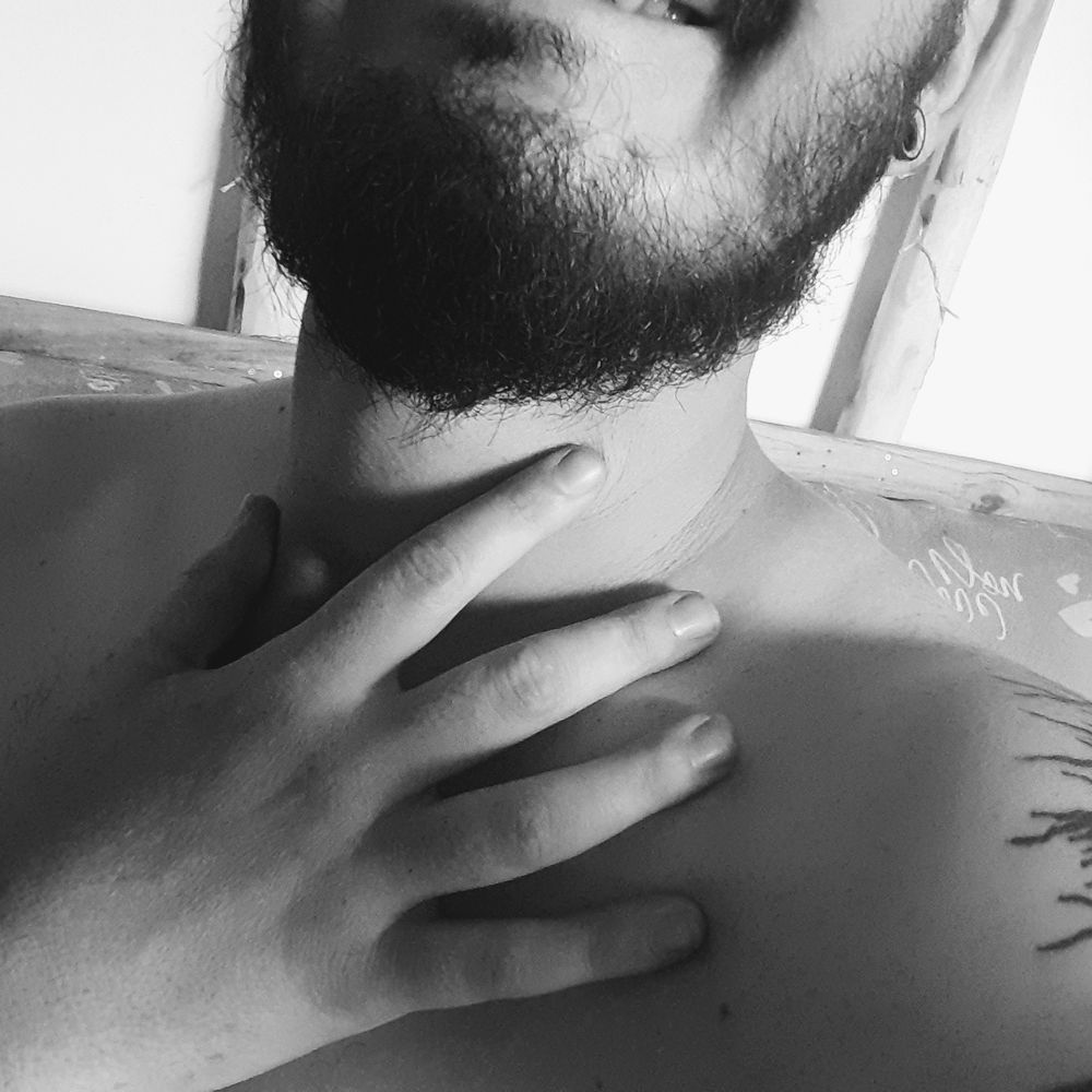 Mr Panda