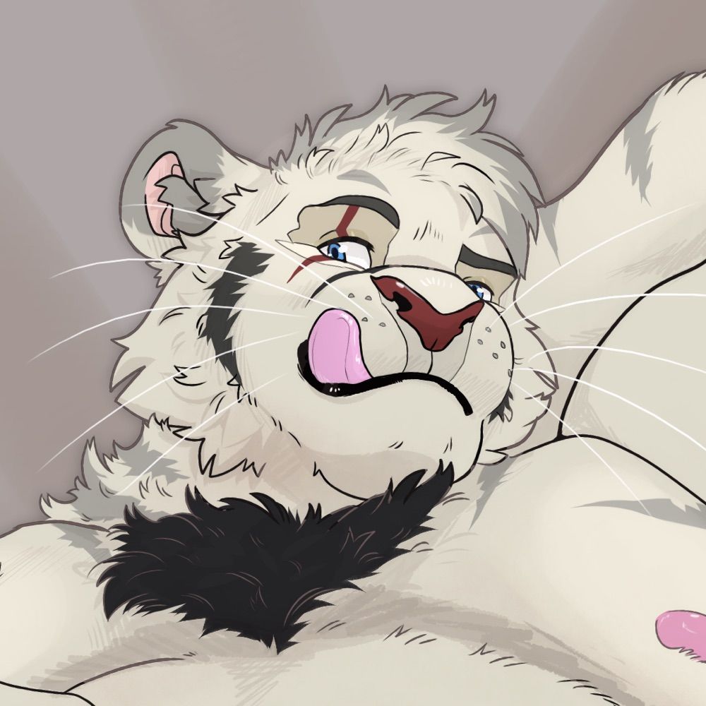 Big Belly Tiger