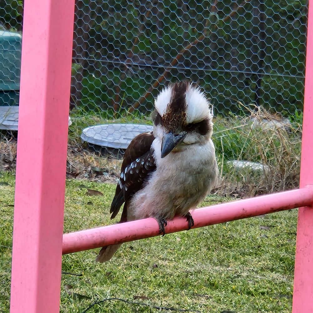 Kookaburra Cove