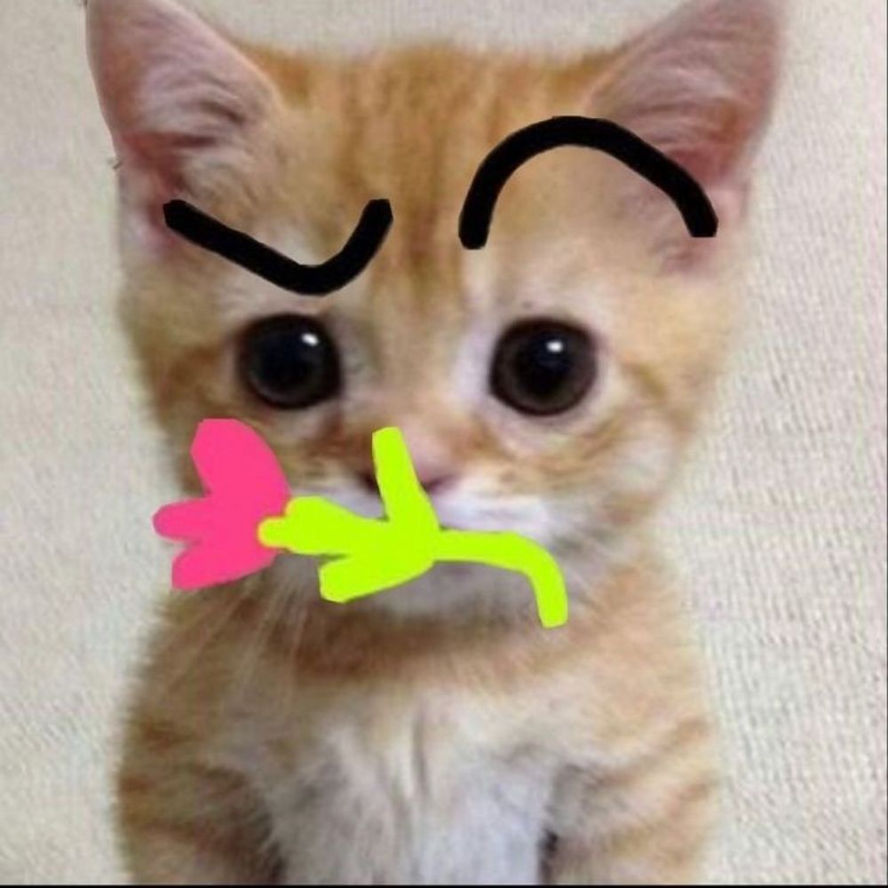Vivi 🏳️‍🌈
