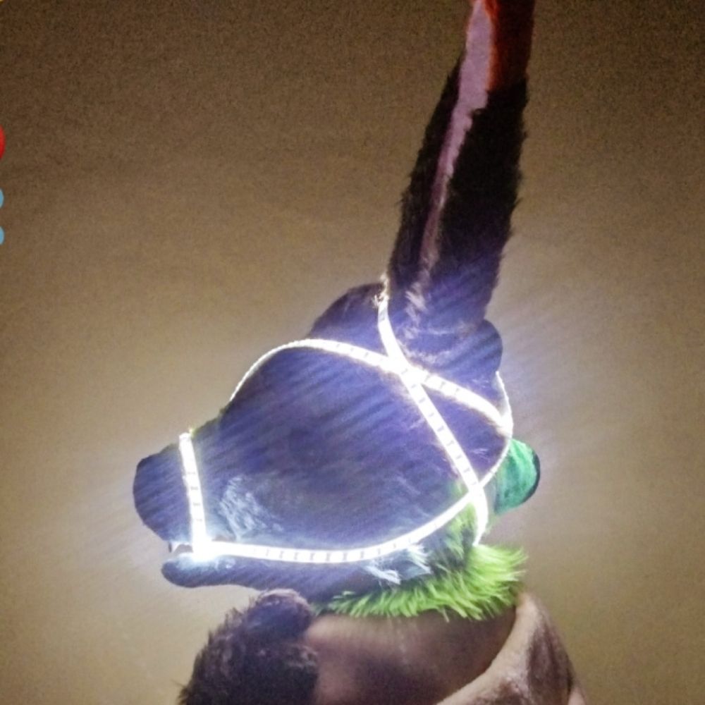 ⚠️DA Yosne Galactic🐇