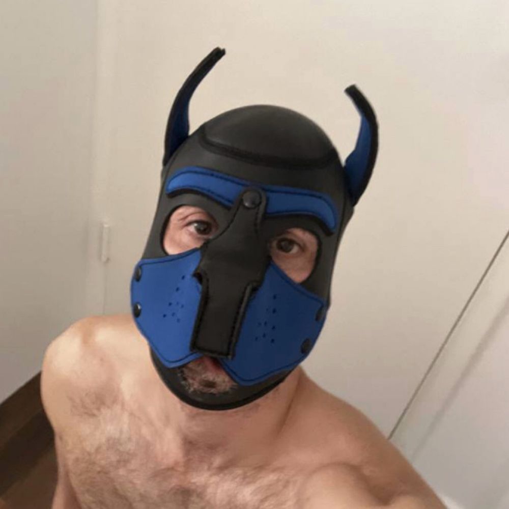 Pup, Name: TBD