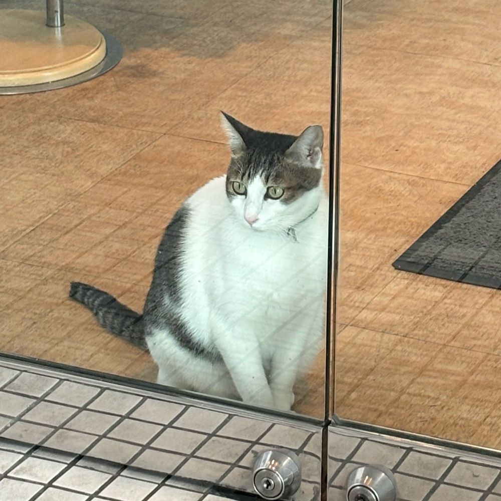 ハチミツ