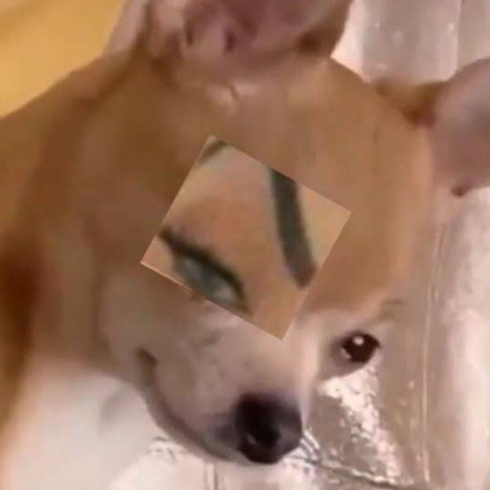let