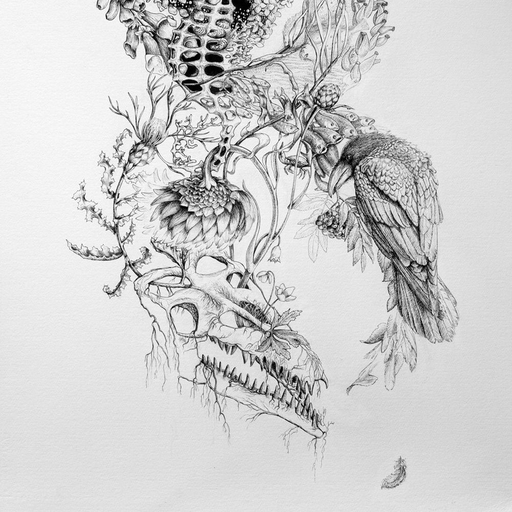 Art of NaBo