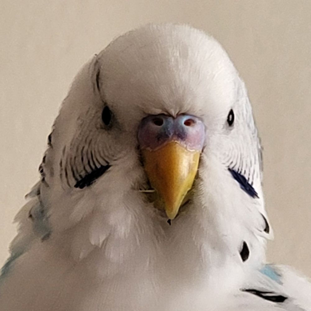 Moi