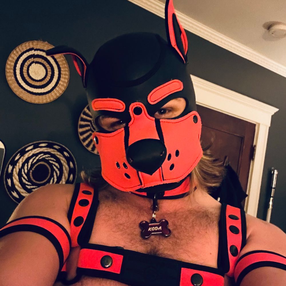 Pup Koda🐾