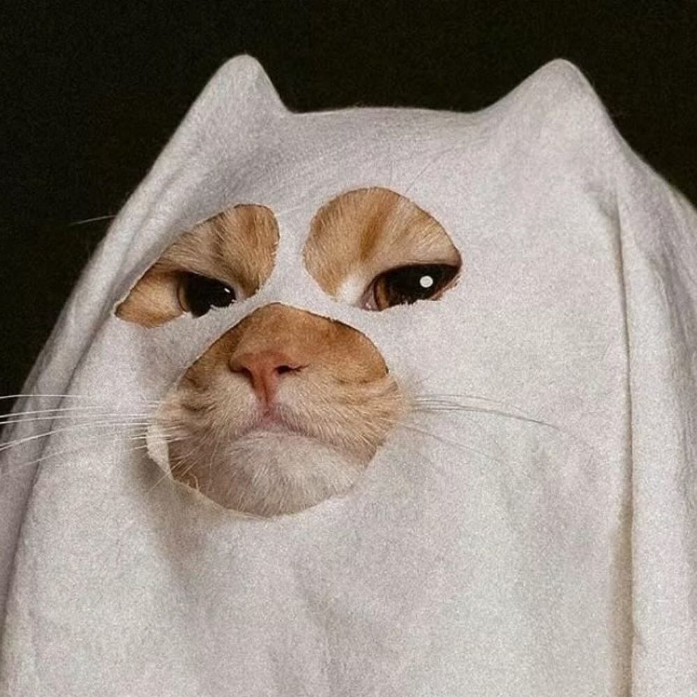 오토