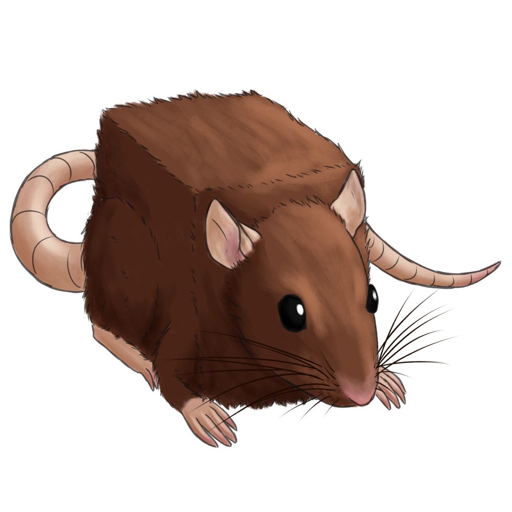 ratbox