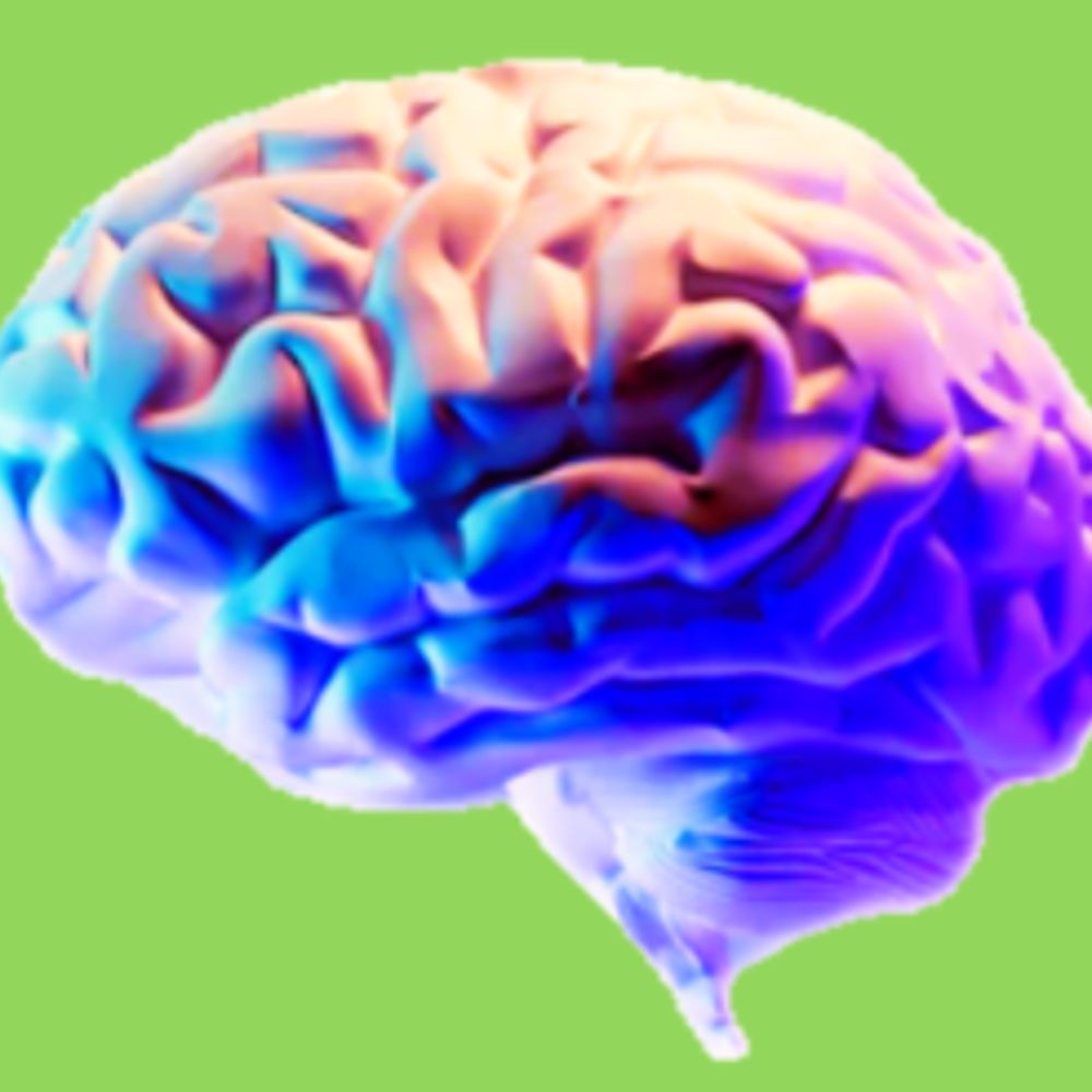 Different Brains in Connecticut