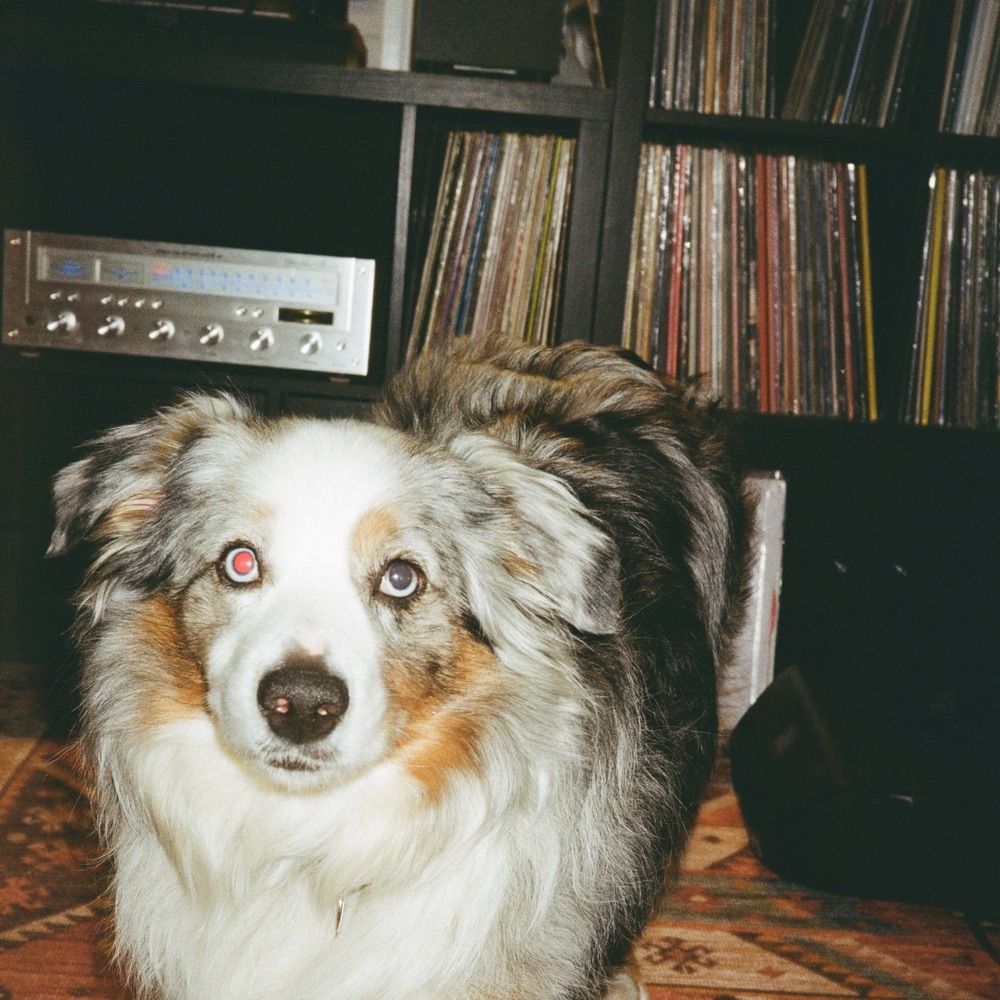 Casey