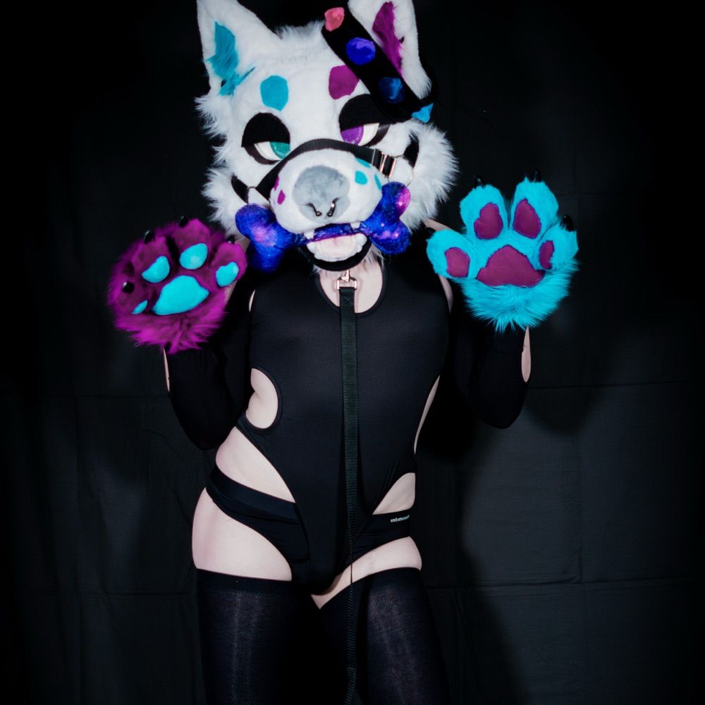 Nekura the Fox 