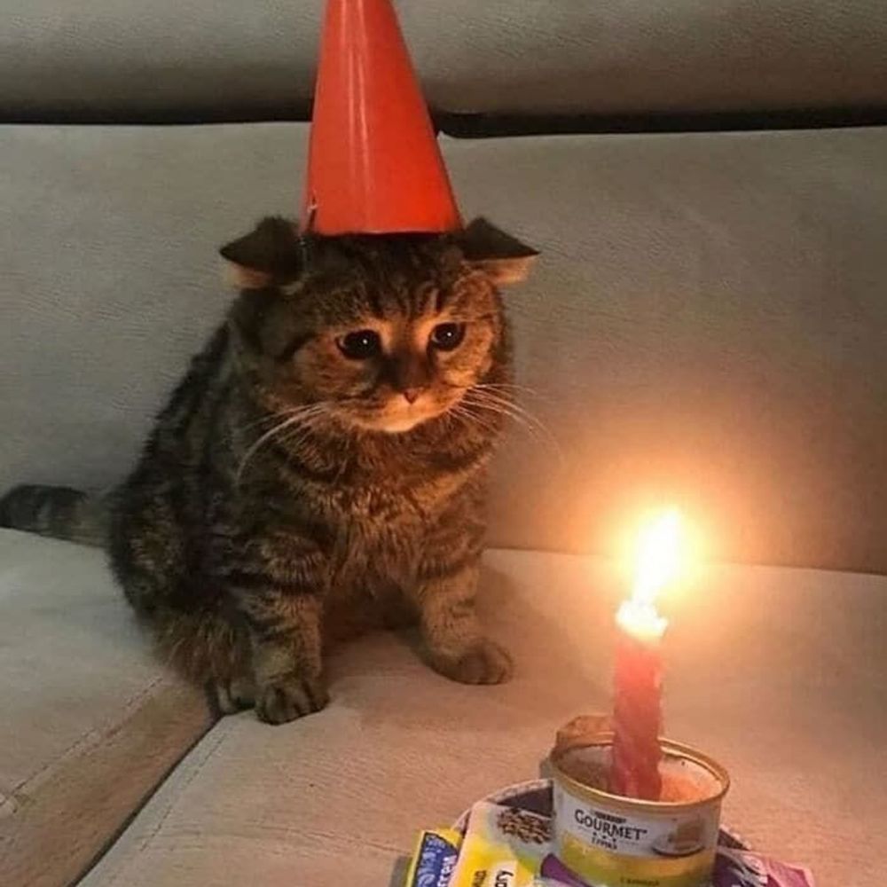 복슬이