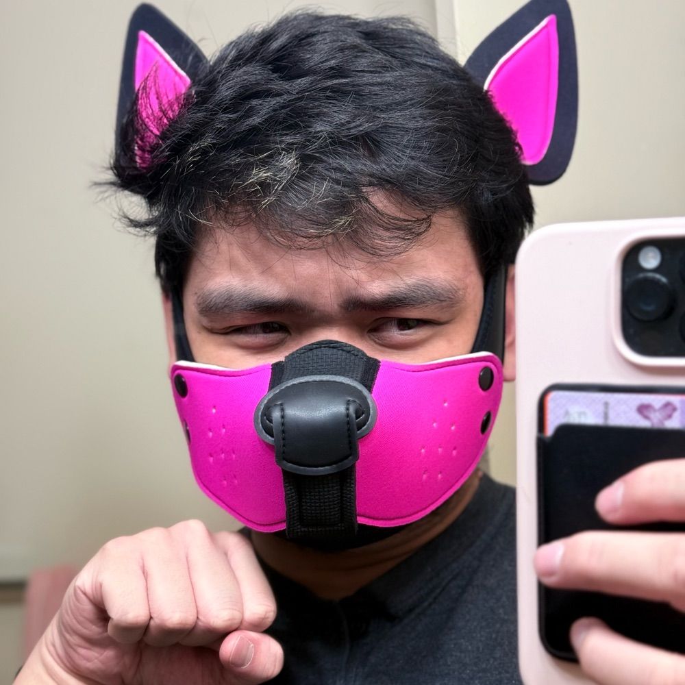 Pup Jobee