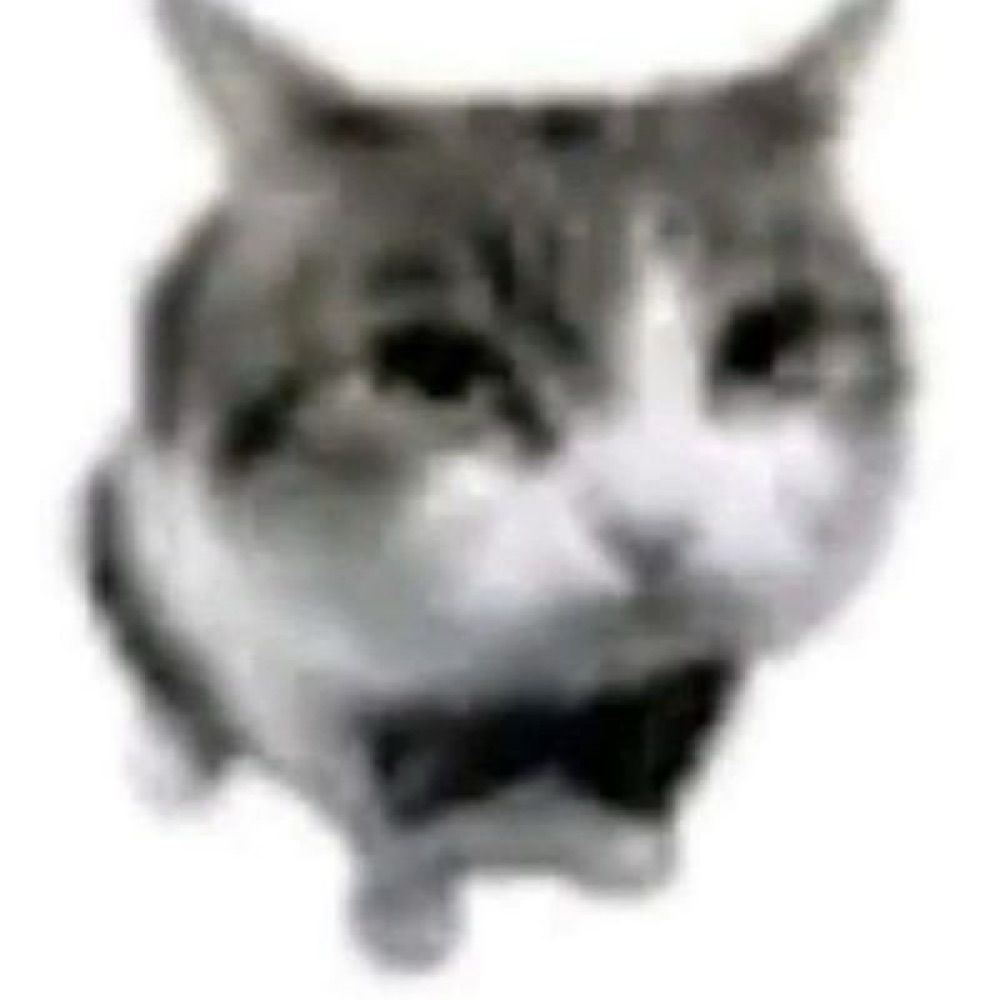 miiiii