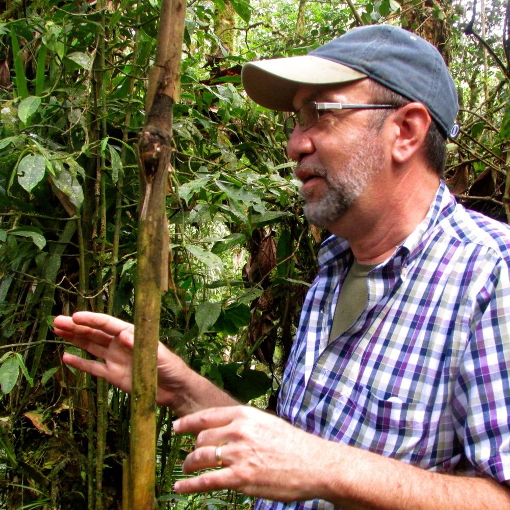 Orchid Ecology