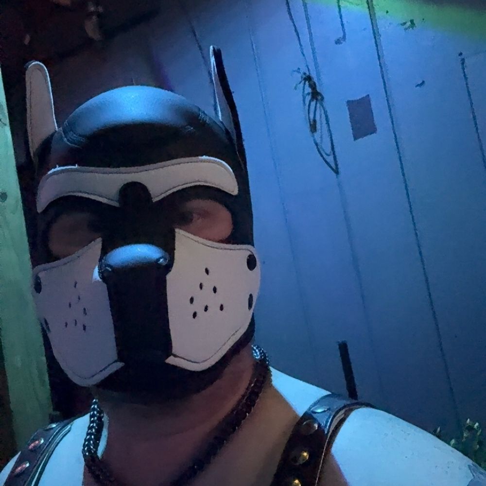 Pup Saint